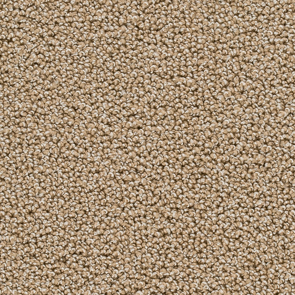 Teppichboden Ambra Schlinge Meterware auf Rolle creme 500 cm