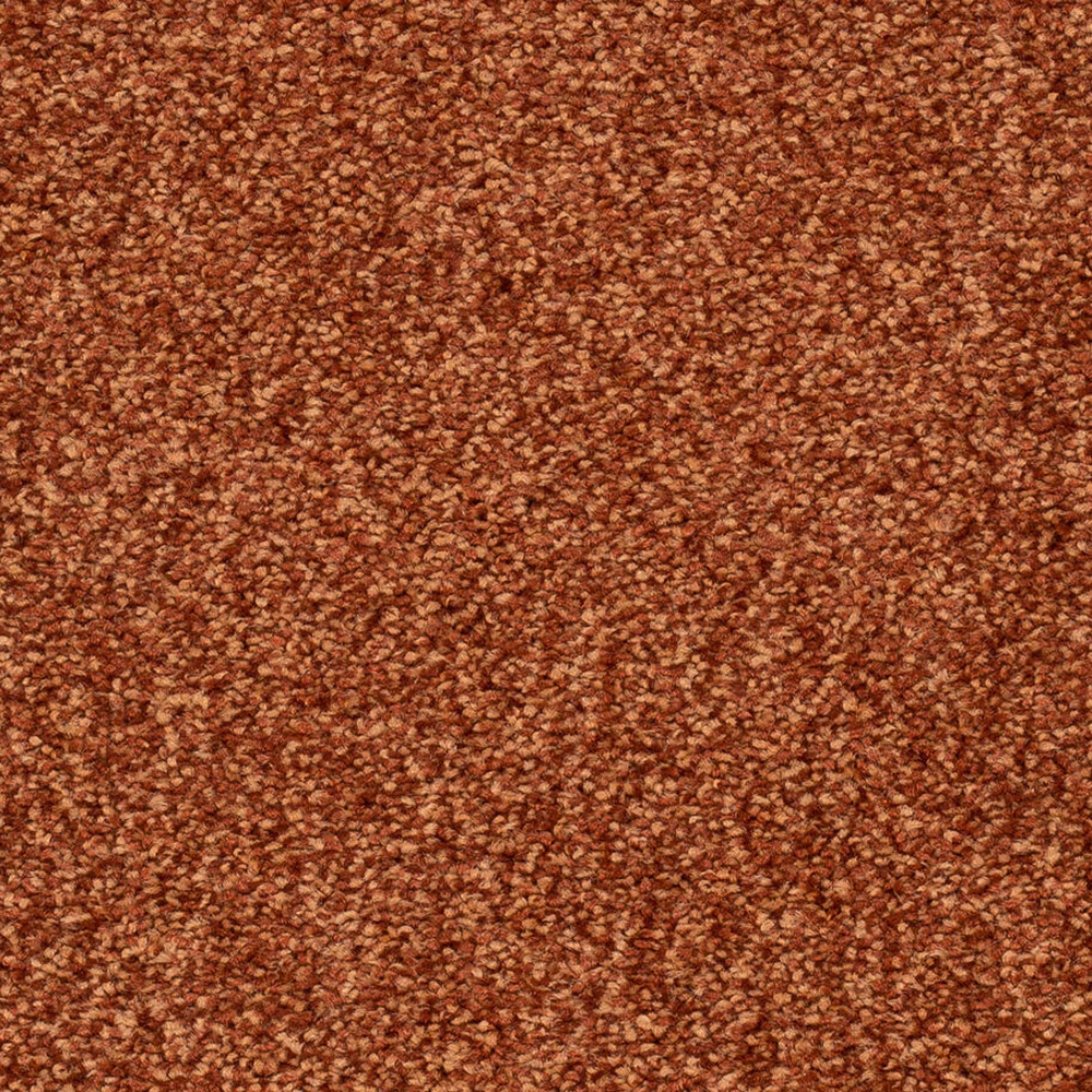 Teppichboden Derby Verlours Meterware auf Rolle terracotta 500 cm