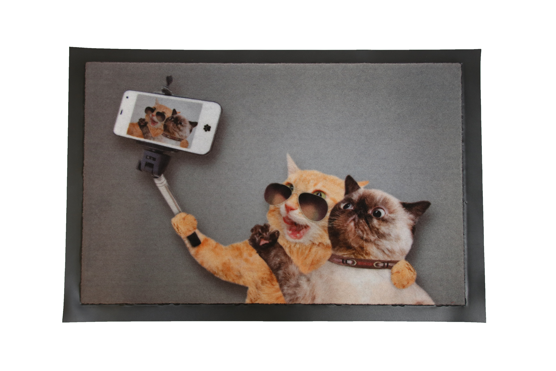 Schmutzfangmatte Selfie Cats