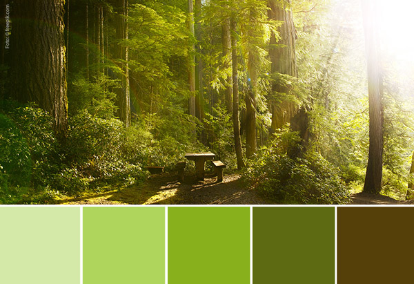 Sonnendurchfluteter, mysthischer Wald, darunter eine grobe Auflistung der vorkommenden Farben.