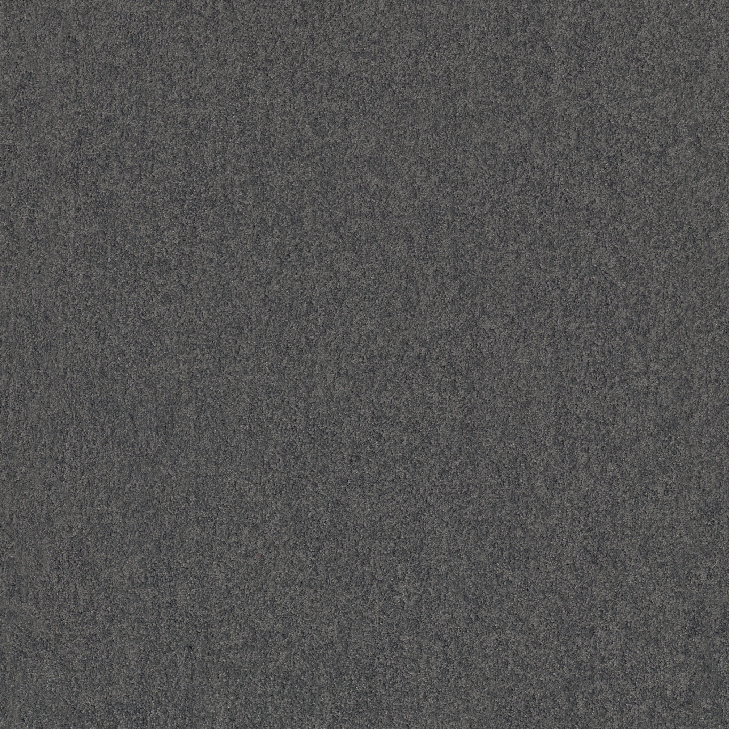 Teppichboden Cashmere Flair Infloor Meterware auf Rolle 560 400 cm