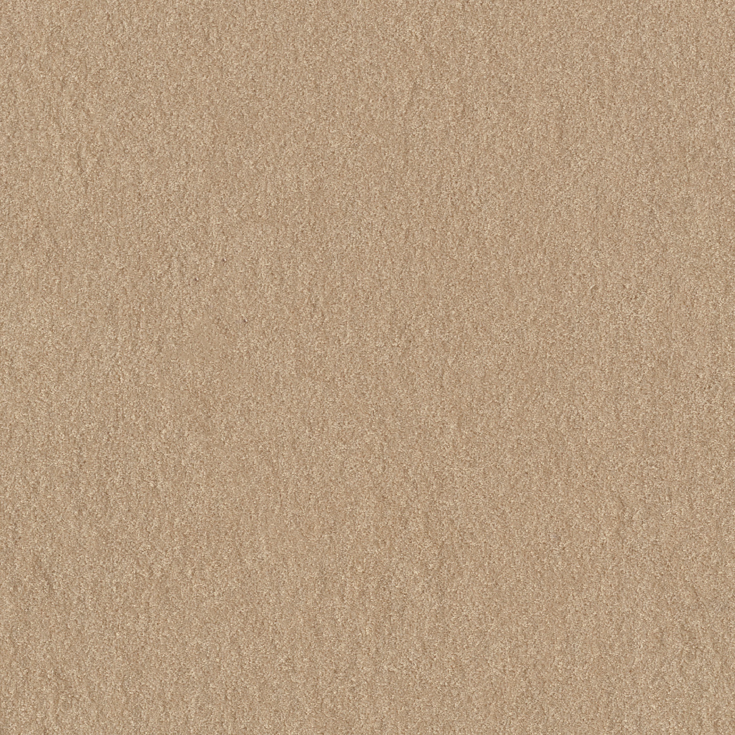 Teppichboden Infloor Cashmere Flair Beige 840 400 cm Meterware auf Rolle