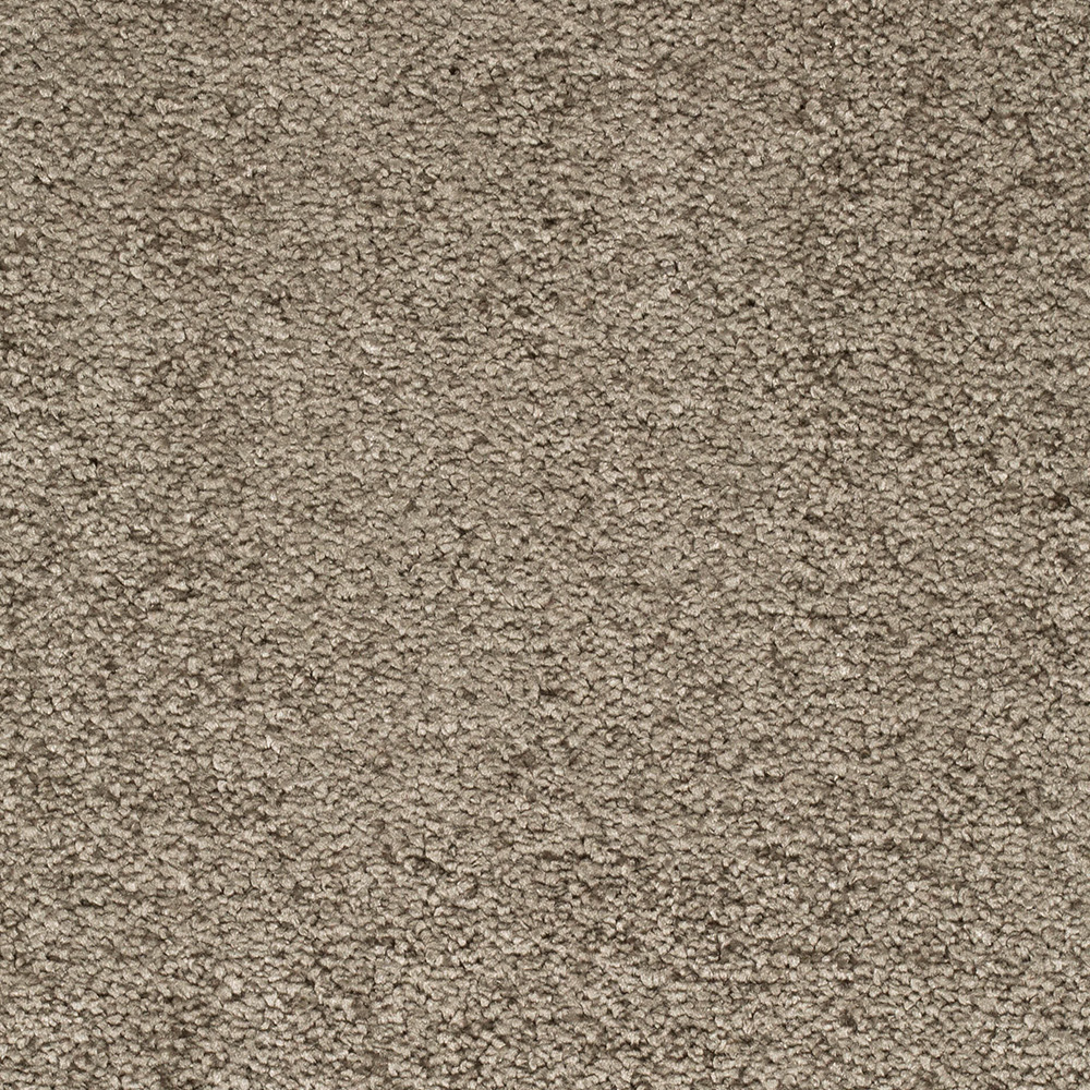 Teppichboden Parma Velours Meterware auf Rolle braungrau 500 cm