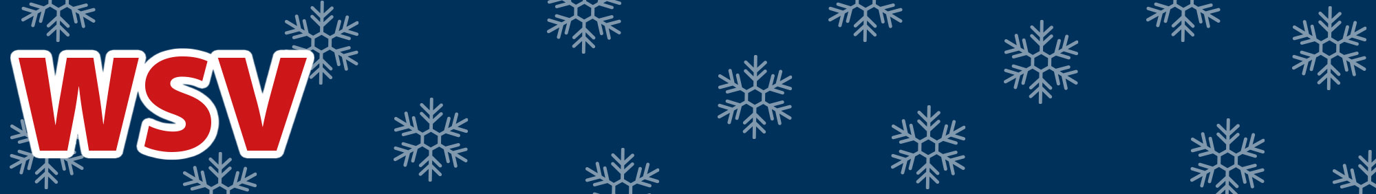 banner-wsv-rabatte-sale