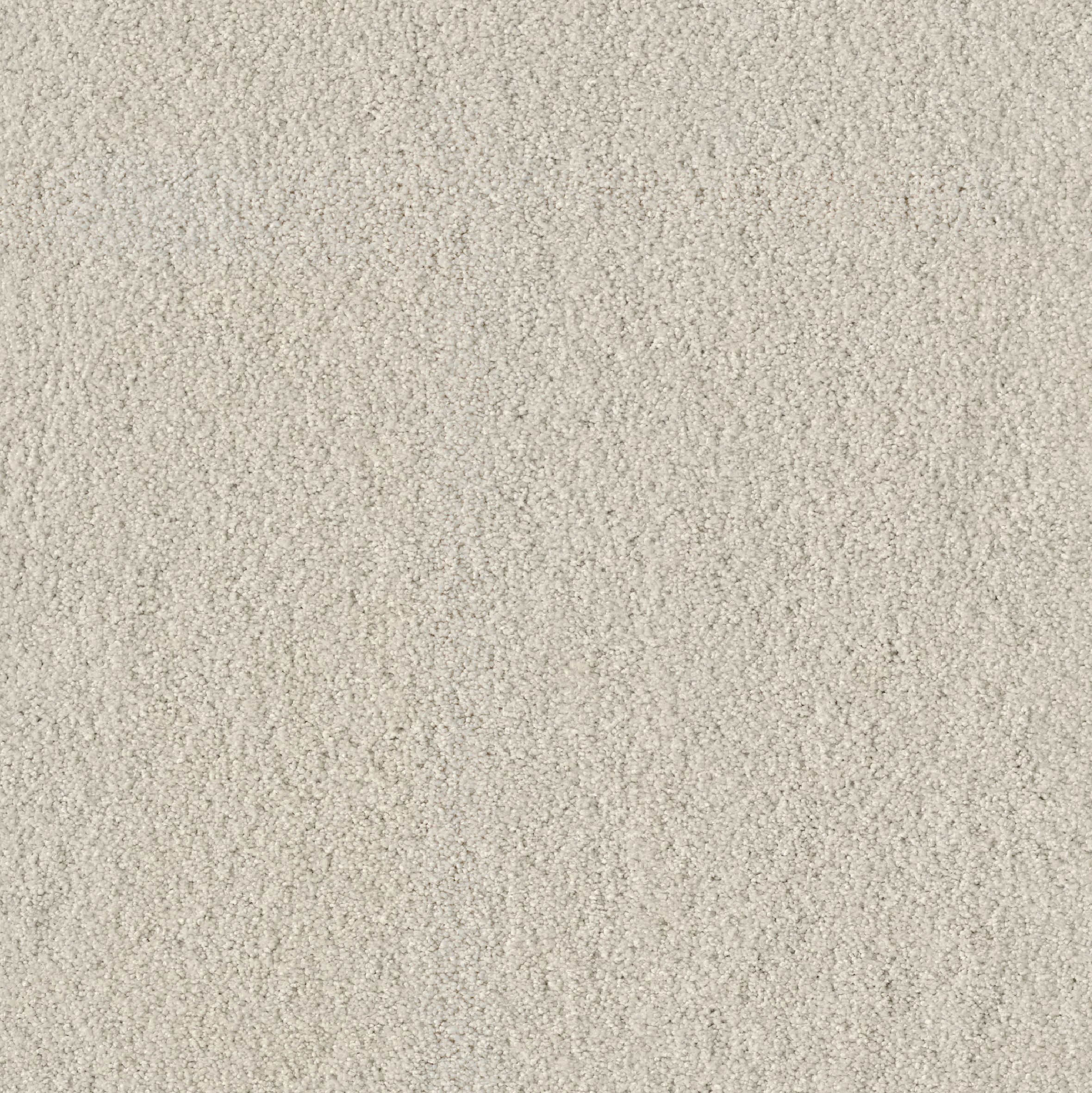 Teppichboden Coco Vision Infloor Meterware auf Rolle 825 400 cm