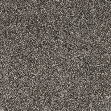 Velours Teppichboden Feelings