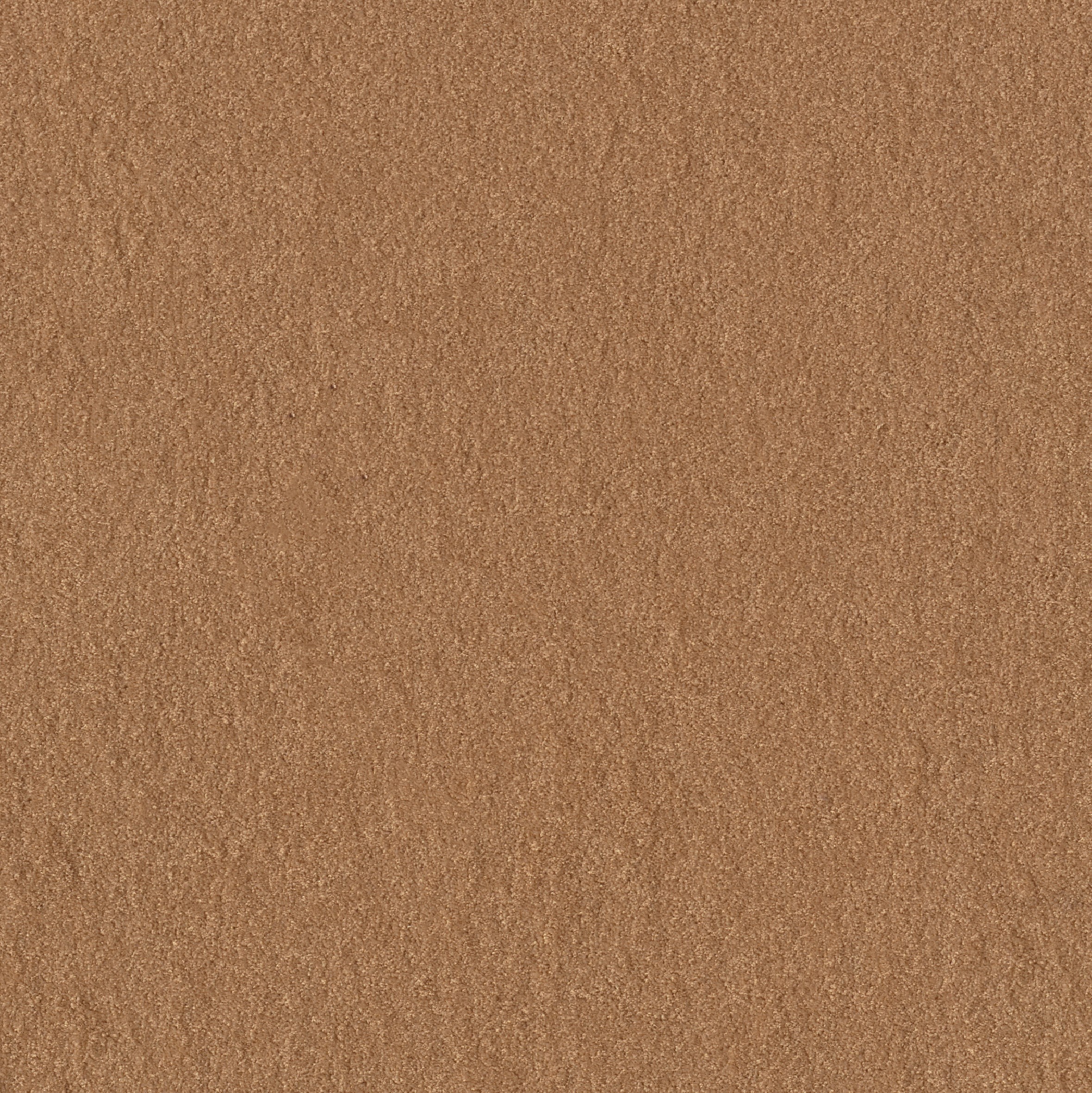 Teppichboden Cashmere Flair Infloor Meterware auf Rolle 270 400 cm
