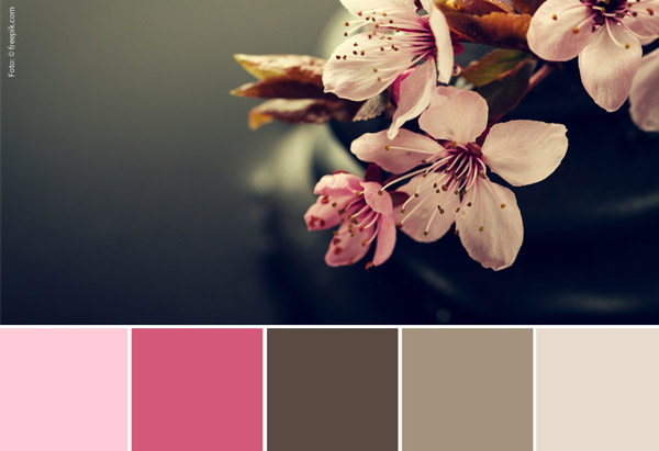 Nahaufnahme von Blüten, darunter eine grobe Auflistung der vorkommenden Farben.