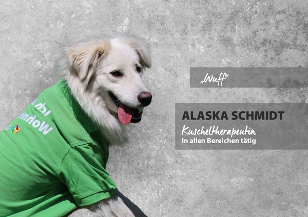 Portrait Alaska Schmidt, professionelle Hündin im Bereich Kuscheltherapie.
