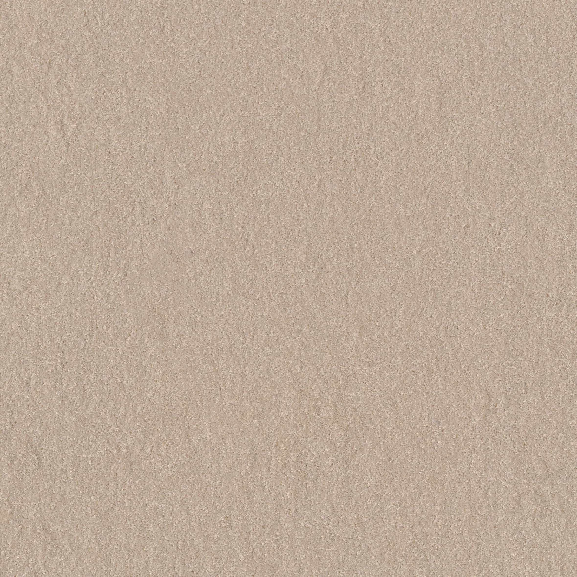 Teppichboden Cashmere Flair Infloor Meterware auf Rolle 850 Dunkles Beige 400 cm