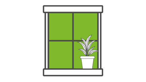 Fenster in grün
