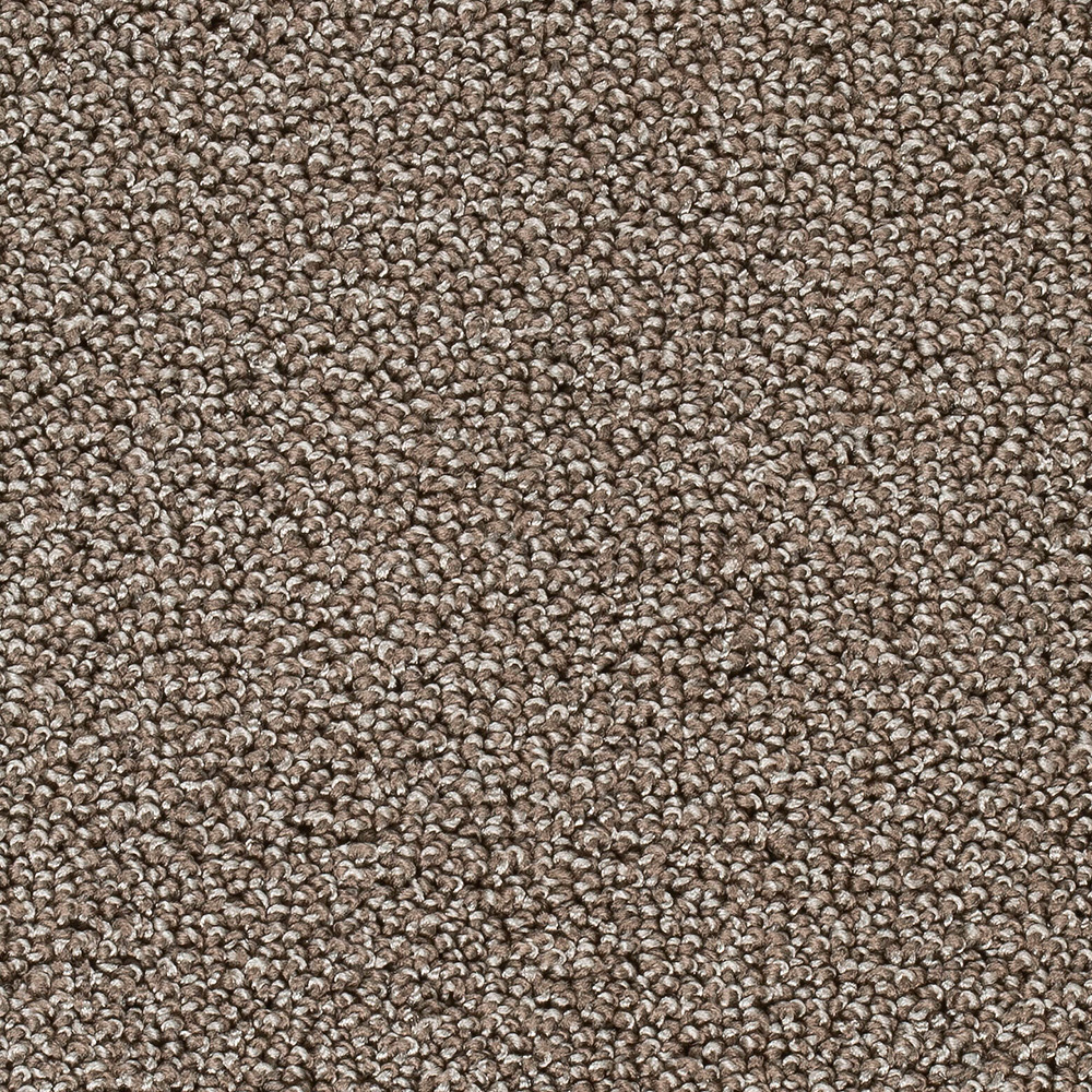 Teppichboden Ambra Schlinge Meterware auf Rolle beige 500 cm
