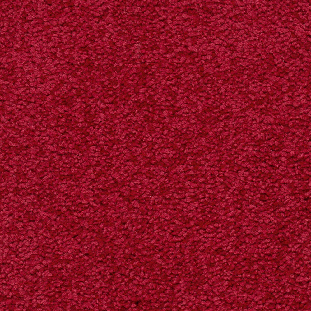 Teppichboden Plaza Velours Meterware auf Rolle