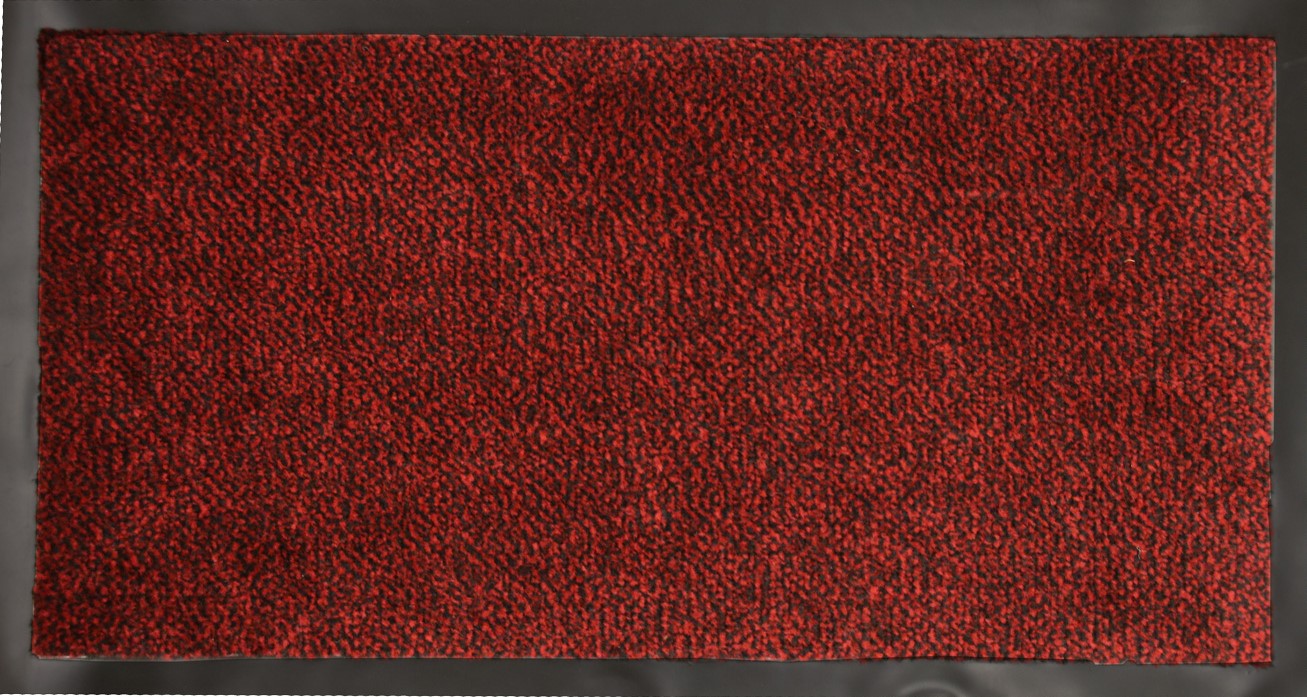 Sauberlaufmatte Mars Abstreicher 40 x 75cm