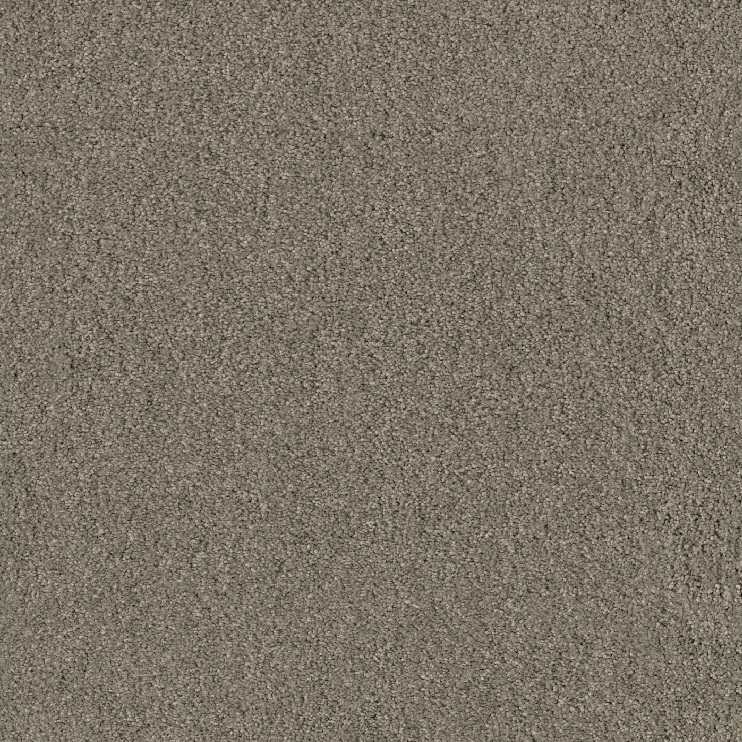 Teppichboden Coco Vision Infloor Meterware auf Rolle 865 400 cm