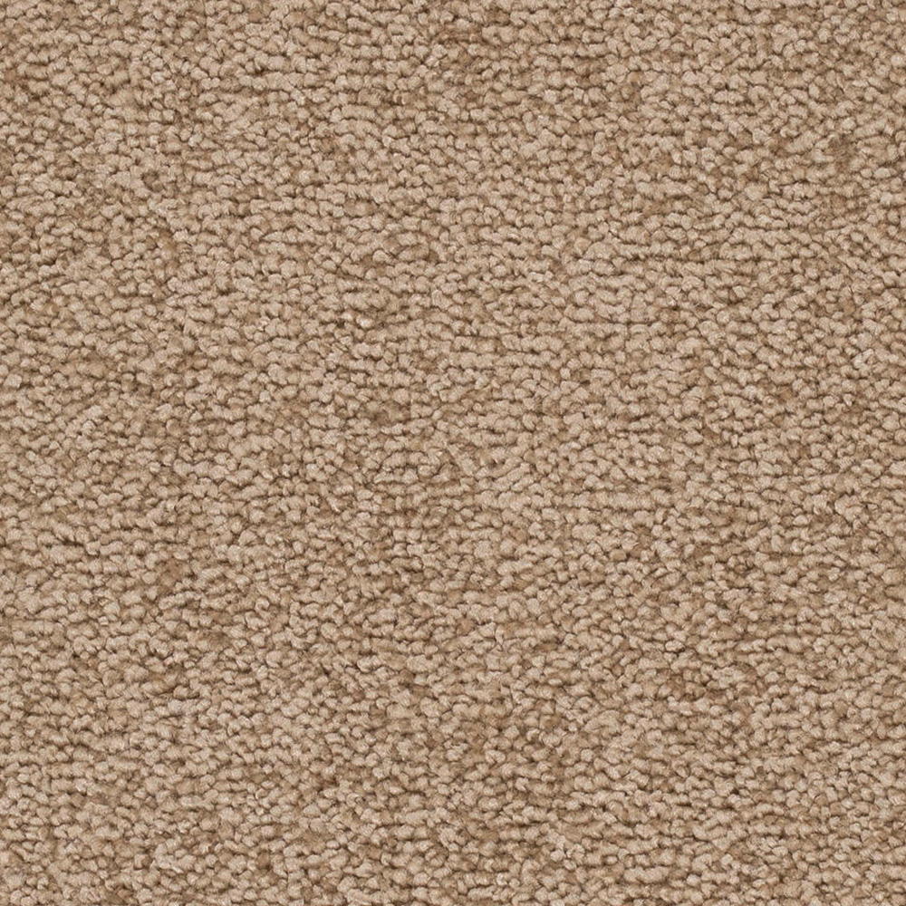 Teppichboden Plaza Velours Meterware auf Rolle hellbraun 500 cm