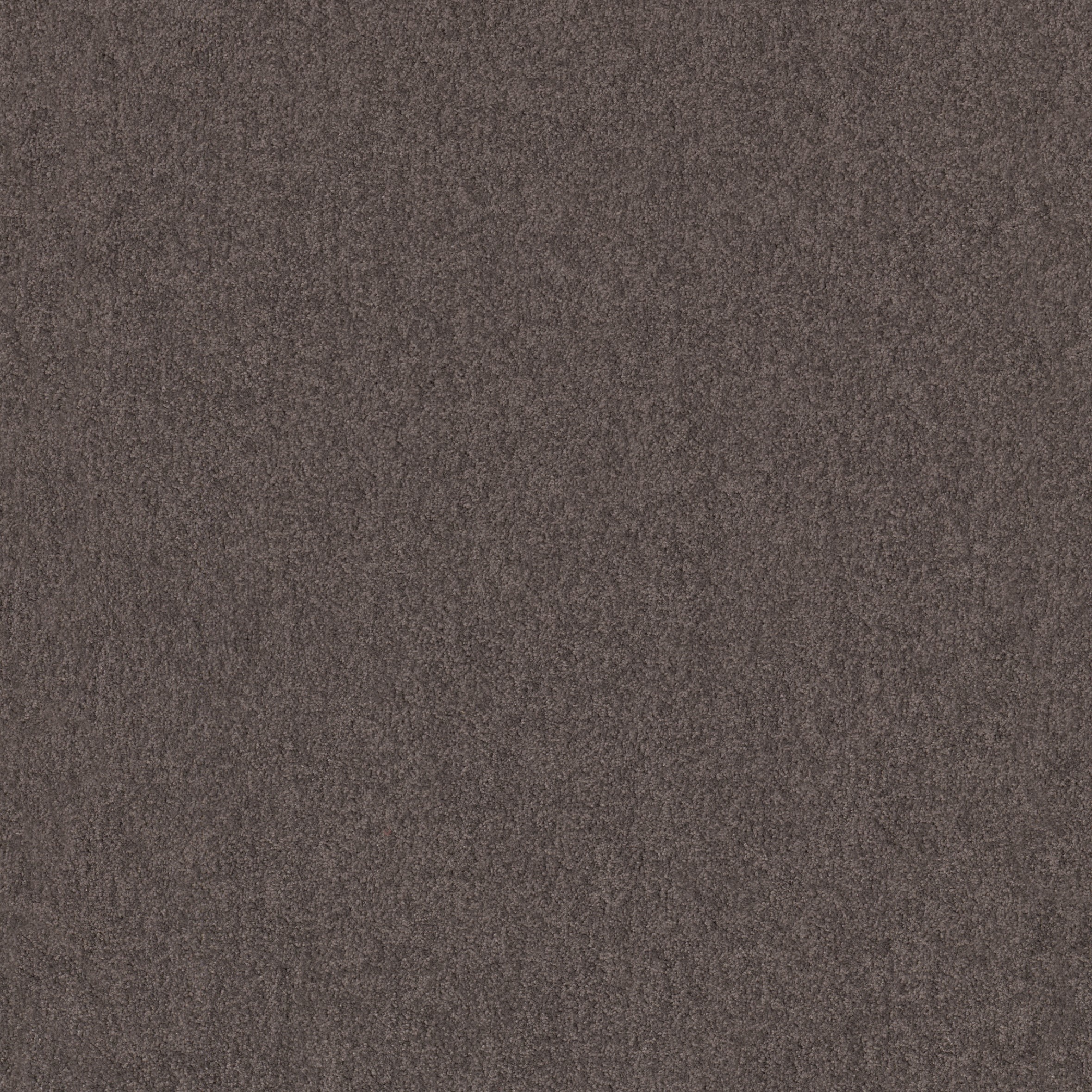 Teppichboden Infloor Cashmere Flair Dunkelbraun 570 400 cm Meterware auf Rolle