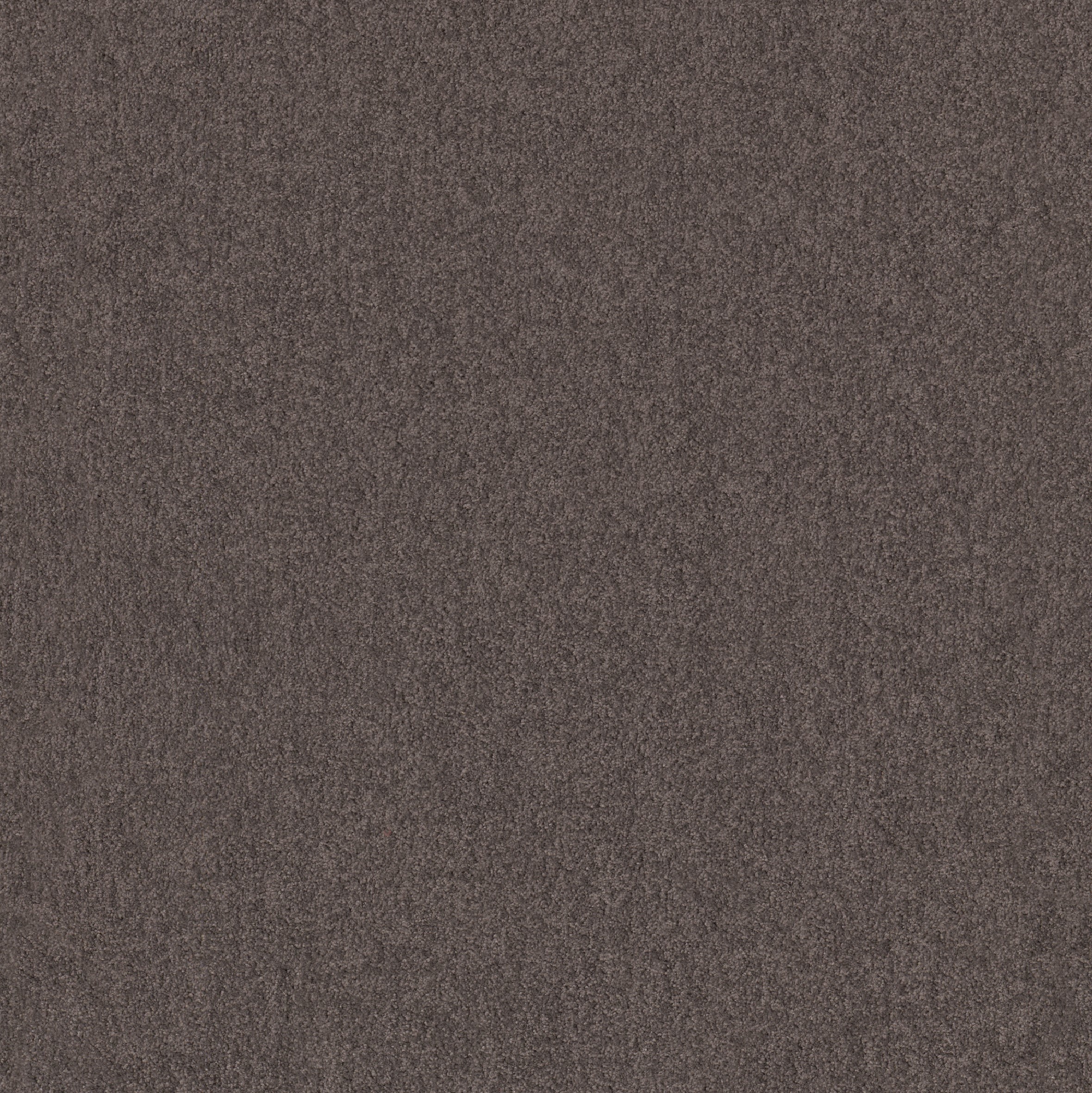 Teppichboden Cashmere Flair Infloor Meterware auf Rolle 570 400 cm