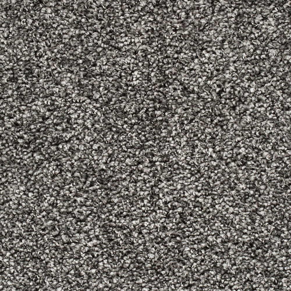 Teppichboden Gero Velours Meterware auf Rolle dunkelgrau 500 cm